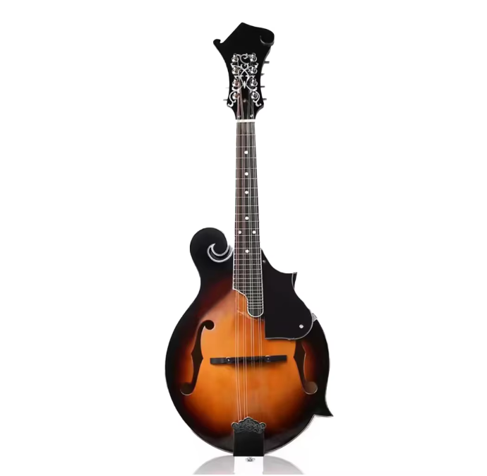 High Quality Acoustic Oud Mandolin F Style 8 String for Beginner Professional Players Jiangsu Origin Model HSMDL1011-1
