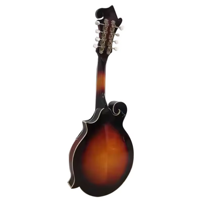 High Quality Acoustic Oud Mandolin F Style 8 String for Beginner Professional Players Jiangsu Origin Model HSMDL1011-1