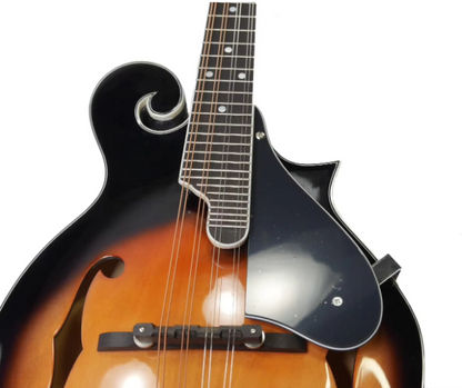 High Quality Acoustic Oud Mandolin F Style 8 String for Beginner Professional Players Jiangsu Origin Model HSMDL1011-1