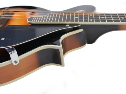 High Quality Acoustic Oud Mandolin F Style 8 String for Beginner Professional Players Jiangsu Origin Model HSMDL1011-1