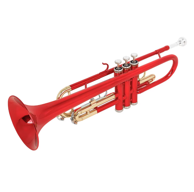 Brass Instrument Trumpet in B Flat Brass Tube Color Gold Keys for Beginners to Practice Professional Trumpet Playing