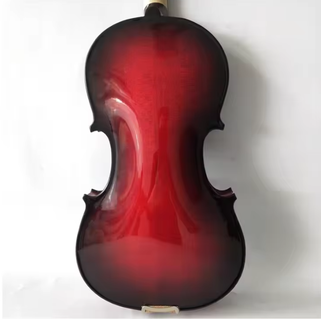 Jeuron China Top Sale Full-Size Spectrum Professional Handmade Solid Violin with Case for Students and Beginners