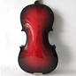 Jeuron China Top Sale Full-Size Spectrum Professional Handmade Solid Violin with Case for Students and Beginners