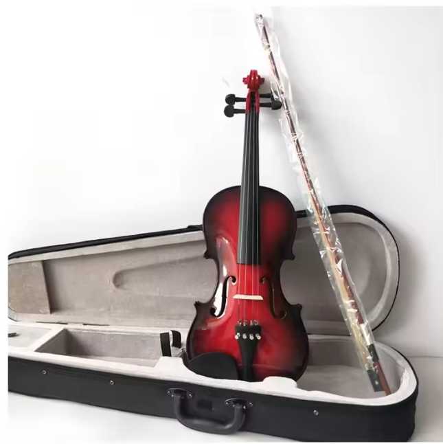 Jeuron China Top Sale Full-Size Spectrum Professional Handmade Solid Violin with Case for Students and Beginners