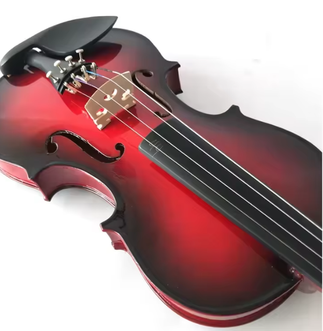 Jeuron China Top Sale Full-Size Spectrum Professional Handmade Solid Violin with Case for Students and Beginners