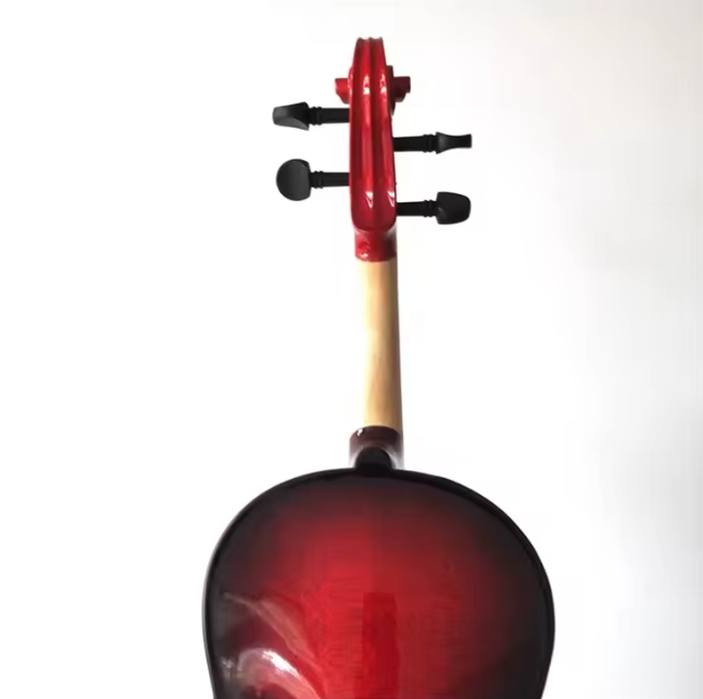 Jeuron China Top Sale Full-Size Spectrum Professional Handmade Solid Violin with Case for Students and Beginners