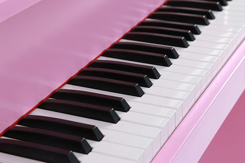 Jeuron 61-Key Electronic MIDI Keyboard Piano with USB Connectivity – Full Size Keys & Dual Power Supply