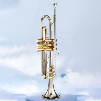 Wholesale Custom Bb Trumpet: Gold Lacquer Finish, Yellow Brass Body, Stainless Steel Pistons (Huasheng Professional Series)