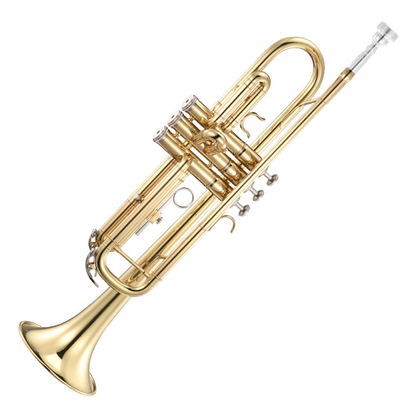 Wholesale Custom Bb Trumpet: Gold Lacquer Finish, Yellow Brass Body, Stainless Steel Pistons (Huasheng Professional Series)