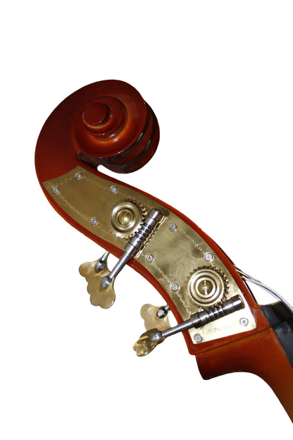 Jeuron Professional Upright Bass 4/4 - For Jazz & Classical Performance