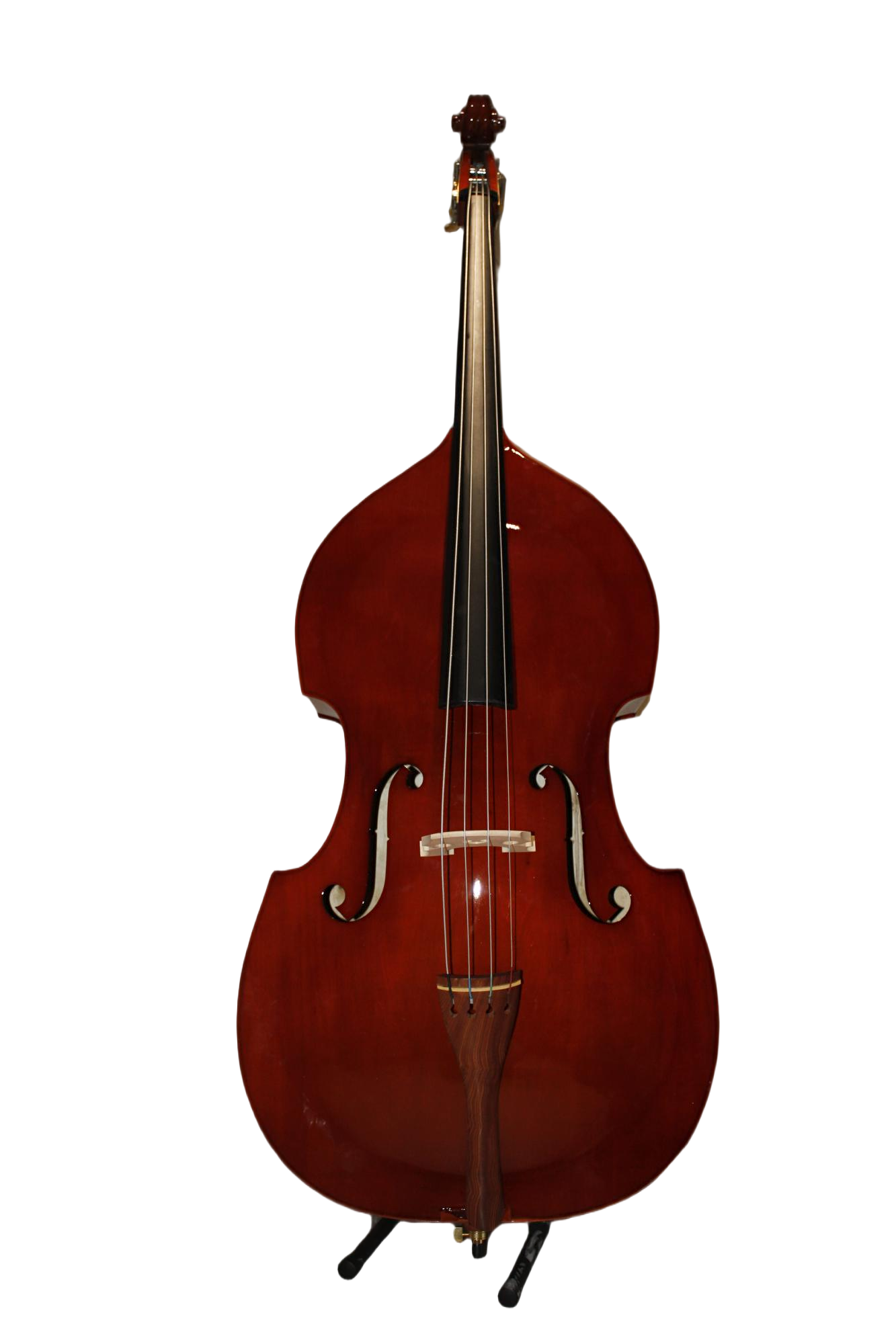 Jeuron Professional Upright Bass 4/4 - For Jazz & Classical Performance