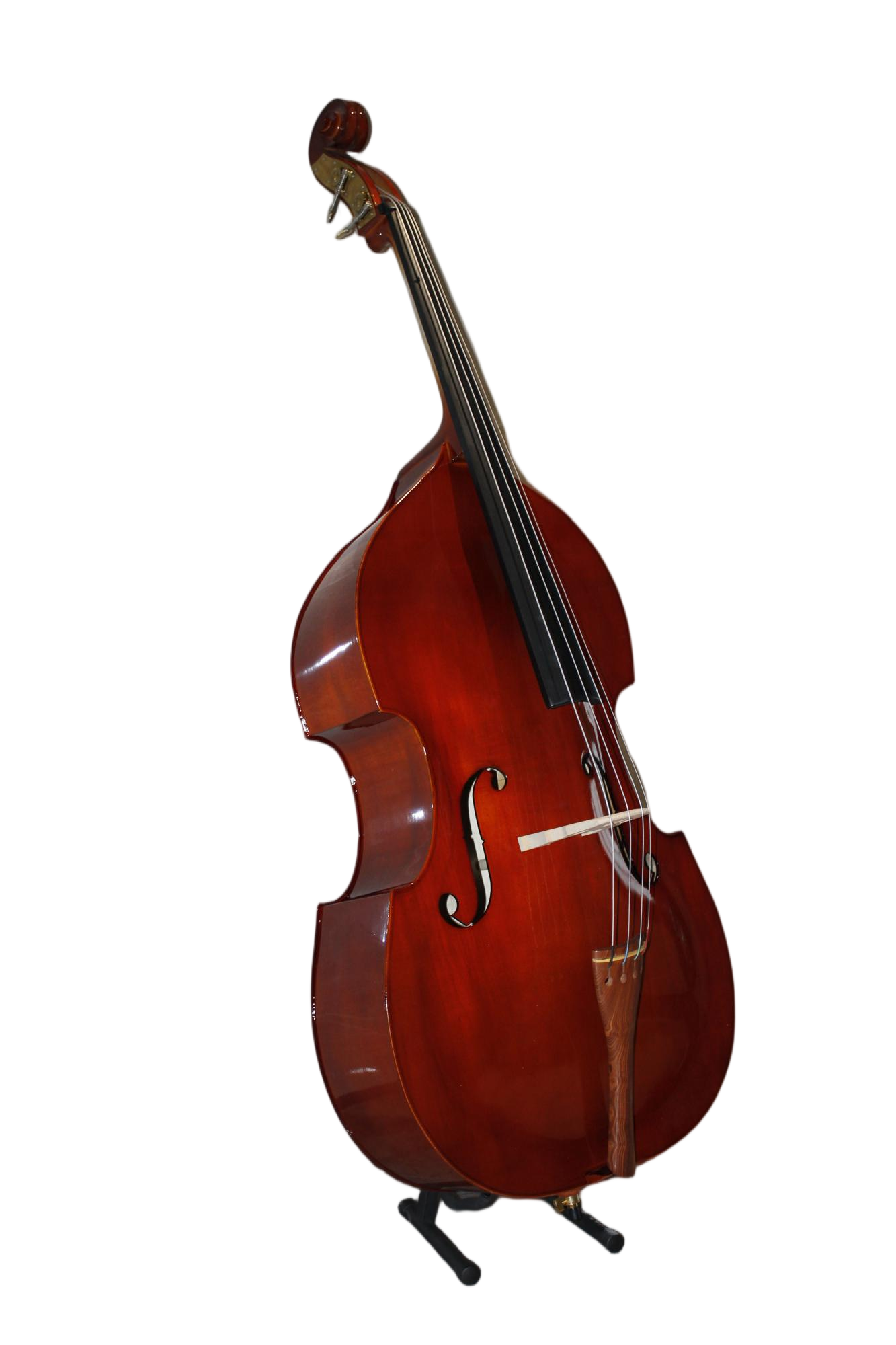 Jeuron Professional Upright Bass 4/4 - For Jazz & Classical Performance